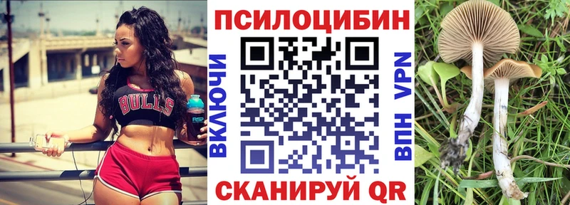 Галлюциногенные грибы мухоморы  хочу наркоту  Нижнеудинск 